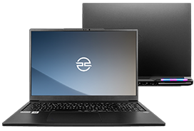 Ordinateurs portables professionnels