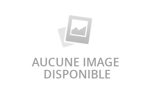 Nvidia RTX Graphics Cards